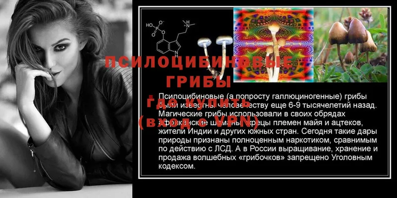 Псилоцибиновые грибы MAGIC MUSHROOMS  хочу   Сыктывкар 